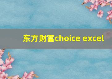 东方财富choice excel